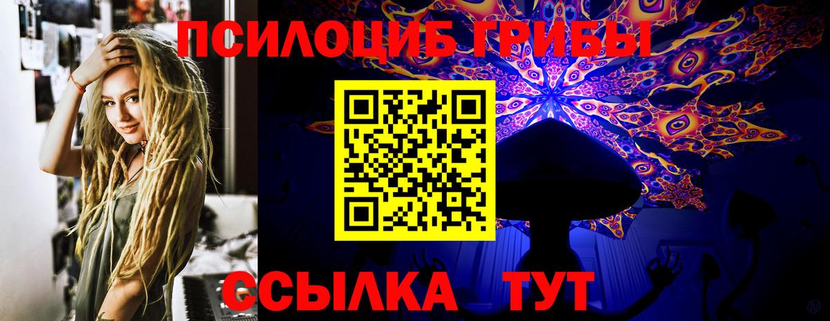Галлюциногенные грибы ЛСД Тайшет