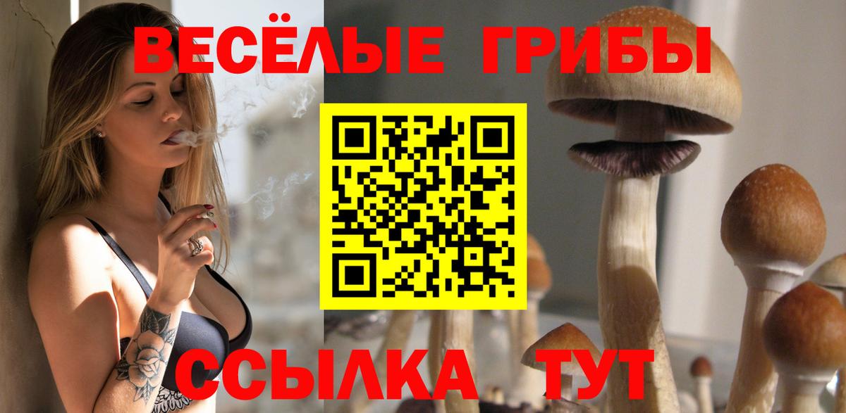 Галлюциногенные грибы Psilocybe  Вход с VPN  Тайшет 