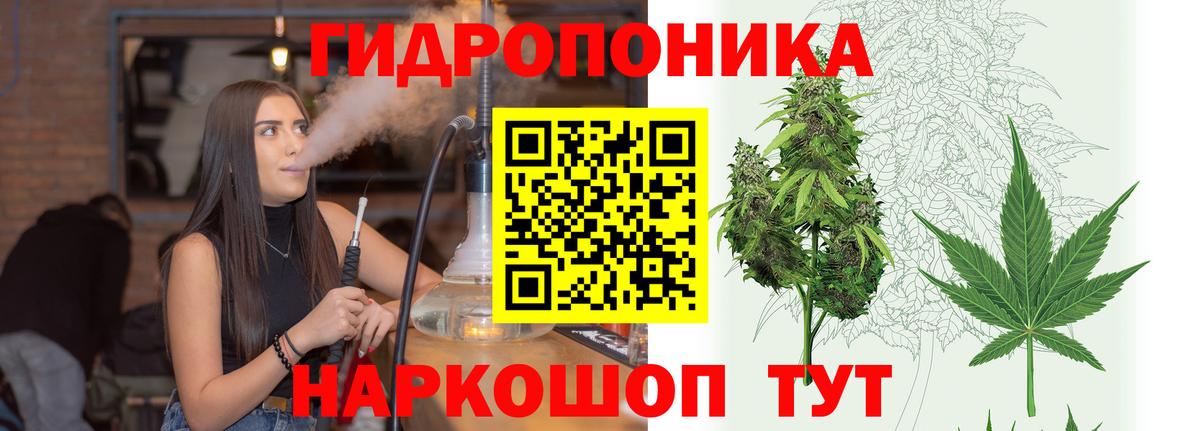 Тайшет  Бошки марихуана гибрид  Вход с VPN  МАРИХУАНА гибрид  МАРИХУАНА White Widow  Канабис Bruce Banner 
